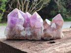 Natural Jacaranda Amethyst Quartz Clusters x 2 from Mumbwa, Zambia - Toprock Gemstones and Minerals 