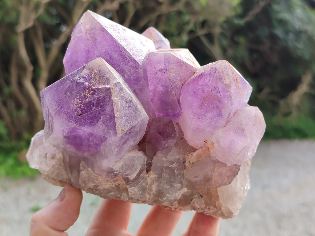 Natural Jacaranda Amethyst Quartz Clusters x 2 from Mumbwa, Zambia - Toprock Gemstones and Minerals 