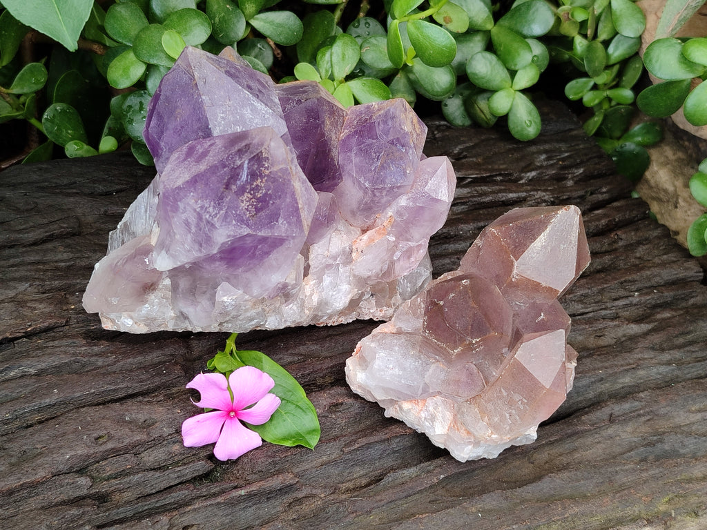 Natural Jacaranda Amethyst Quartz Clusters x 2 from Mumbwa, Zambia - Toprock Gemstones and Minerals 