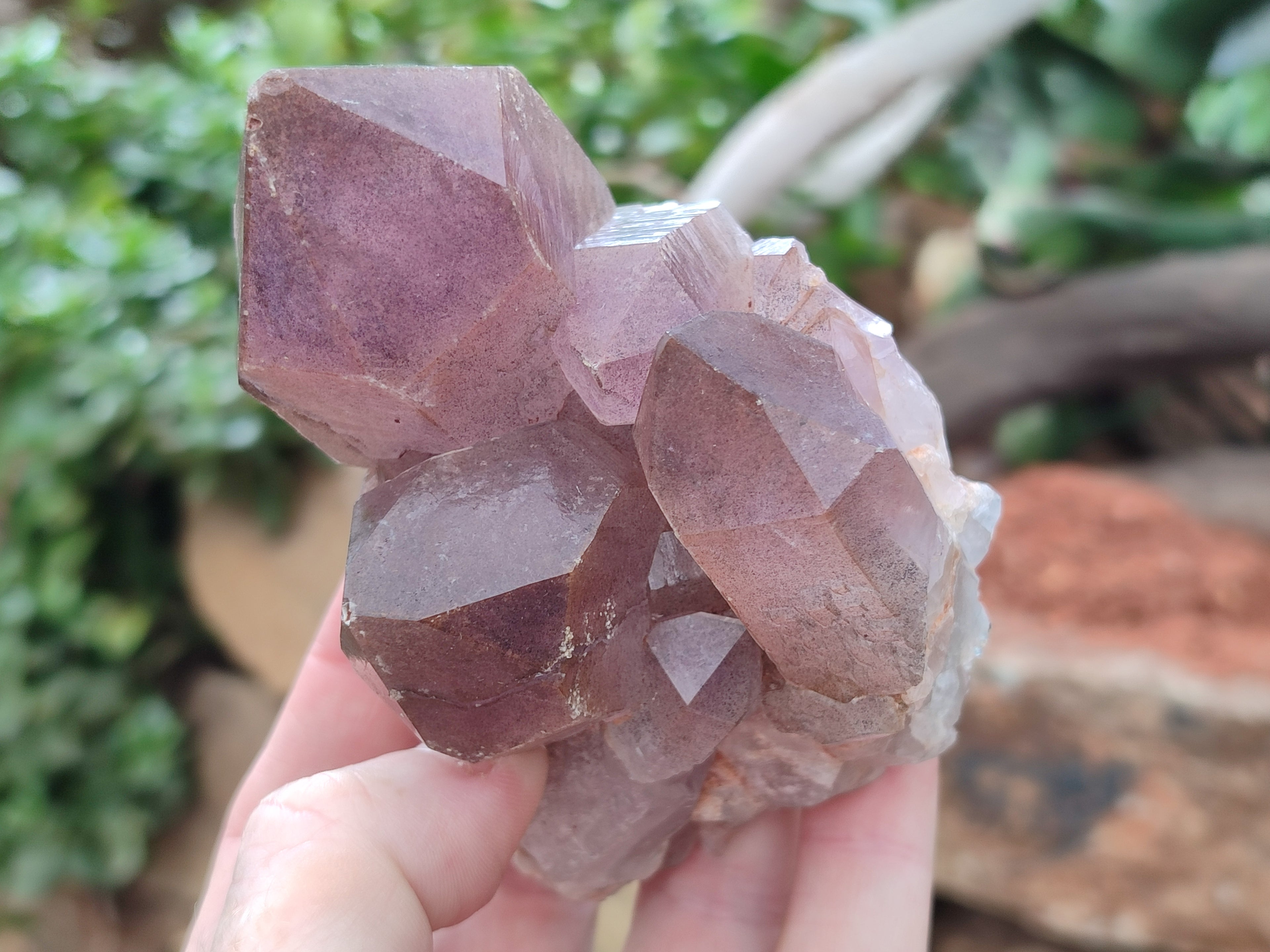 Natural Jacaranda Amethyst Quartz Clusters x 2 from Mumbwa, Zambia - Toprock Gemstones and Minerals 