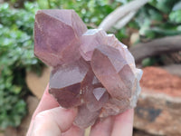 Natural Jacaranda Amethyst Quartz Clusters x 2 from Mumbwa, Zambia