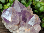 Natural Jacaranda Amethyst Quartz Clusters x 2 from Mumbwa, Zambia - Toprock Gemstones and Minerals 