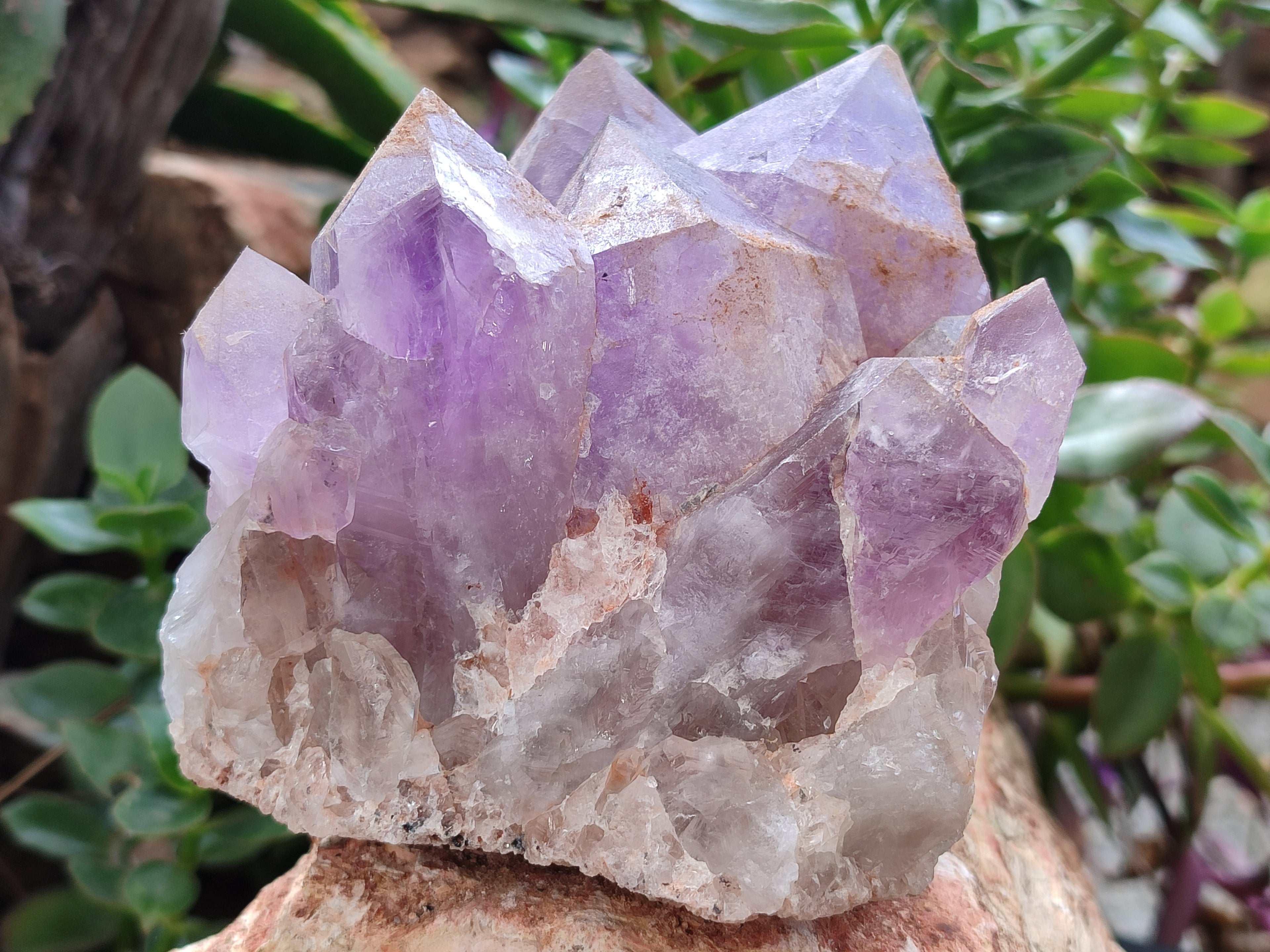 Natural Jacaranda Amethyst Quartz Clusters x 2 from Mumbwa, Zambia - Toprock Gemstones and Minerals 