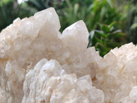 Natural Cascading Candle Quartz Cluster x 1 From Antsirabe, Madagascar - Toprock Gemstones and Minerals 