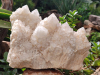 Natural Cascading Candle Quartz Cluster x 1 From Antsirabe, Madagascar - Toprock Gemstones and Minerals 