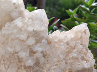 Natural Cascading Candle Quartz Cluster x 1 From Antsirabe, Madagascar - Toprock Gemstones and Minerals 