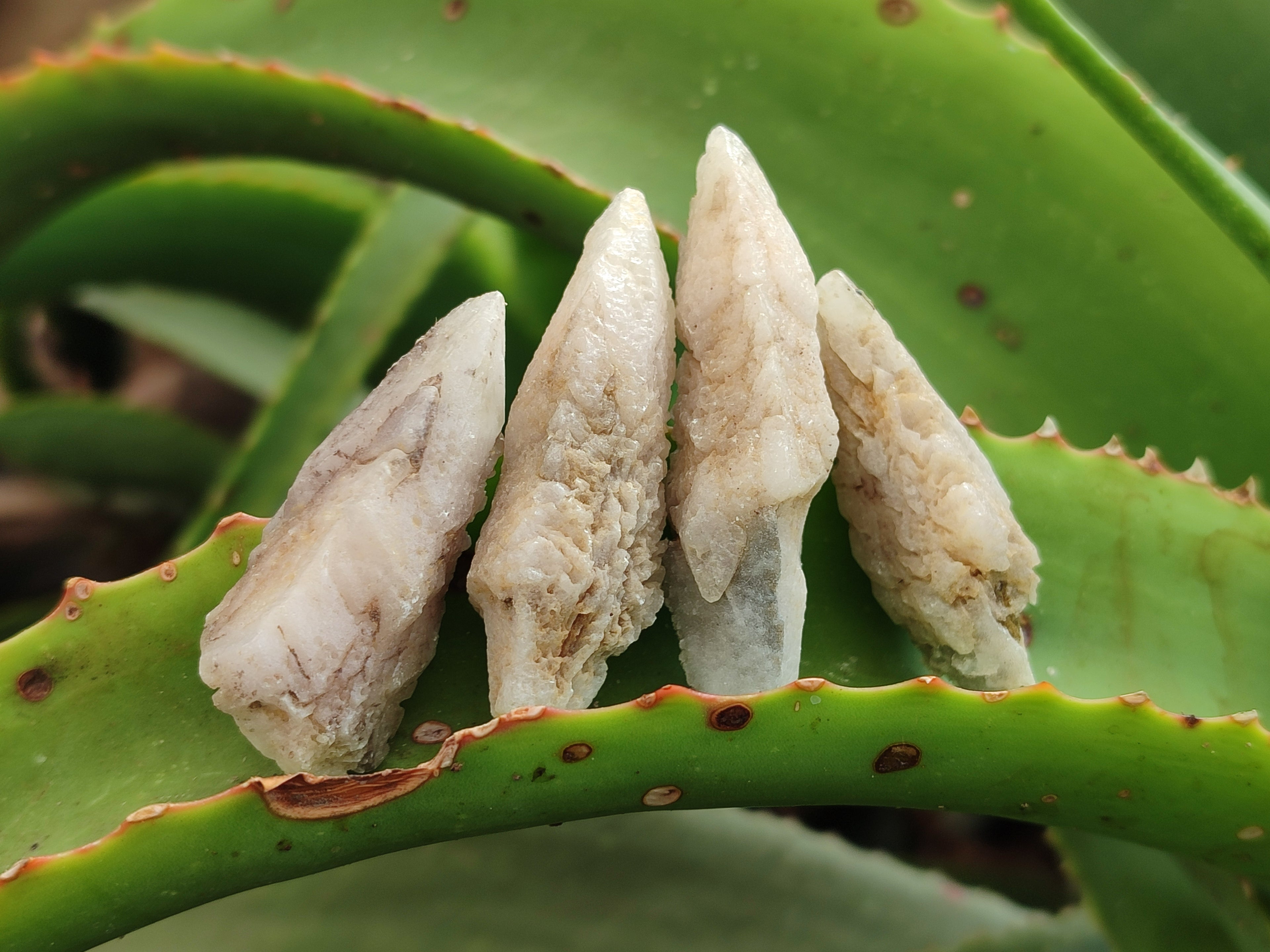 Natural Drusy Quartz Coated Calcite Pseudomorph Specimens x 26 From Lesotho - Toprock Gemstones and Minerals 