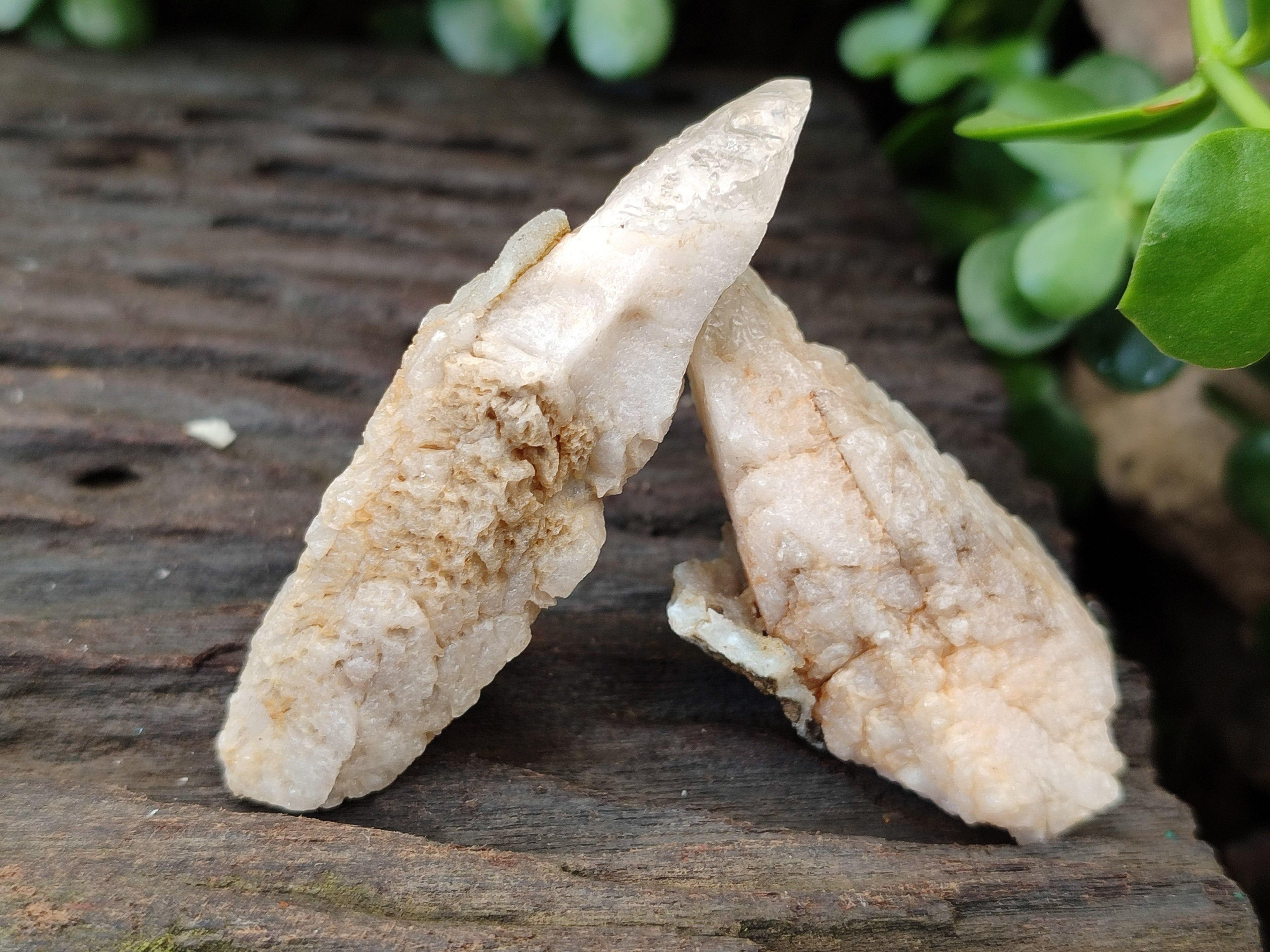 Natural Drusy Quartz Coated Calcite Pseudomorph Specimens x 26 From Lesotho - Toprock Gemstones and Minerals 