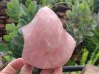 Polished Rose Quartz Flames x 3 From Ambatondrazaka, Madagascar - Toprock Gemstones and Minerals 