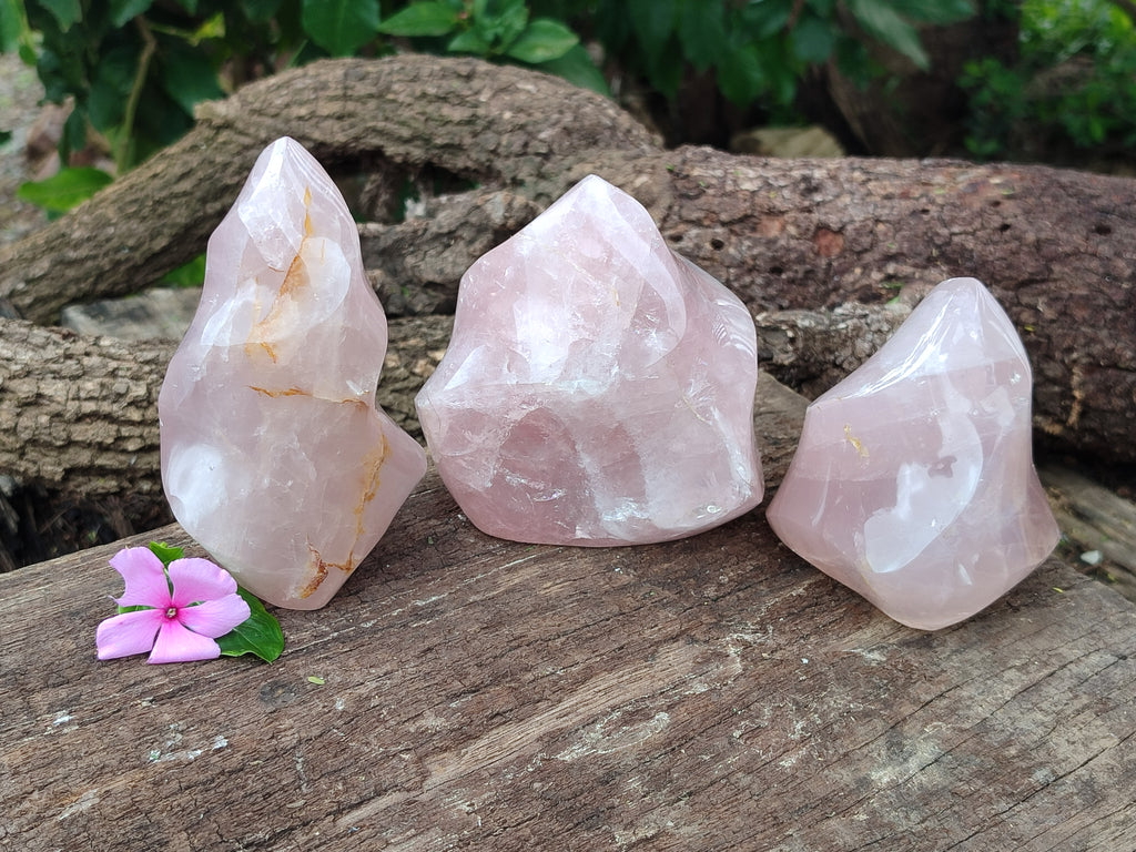 Polished Rose Quartz Flames x 3 From Ambatondrazaka, Madagascar - Toprock Gemstones and Minerals 