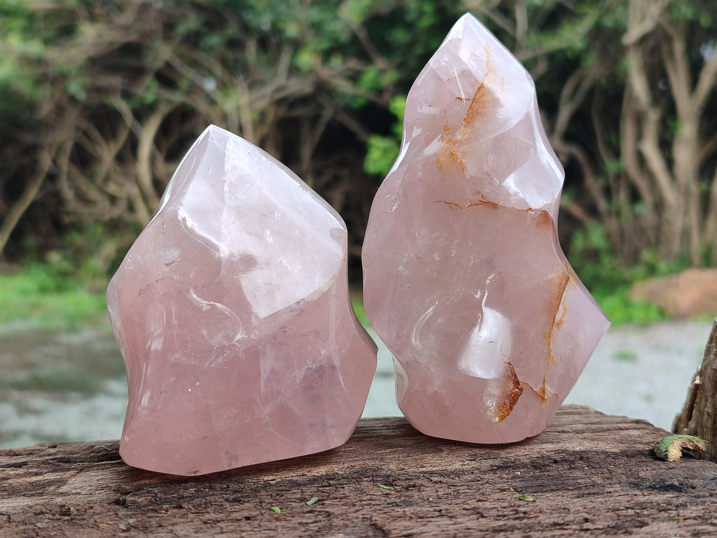Polished Rose Quartz Flames x 3 From Ambatondrazaka, Madagascar - Toprock Gemstones and Minerals 