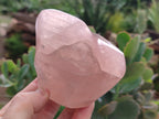 Polished Rose Quartz Flames x 3 From Ambatondrazaka, Madagascar - Toprock Gemstones and Minerals 