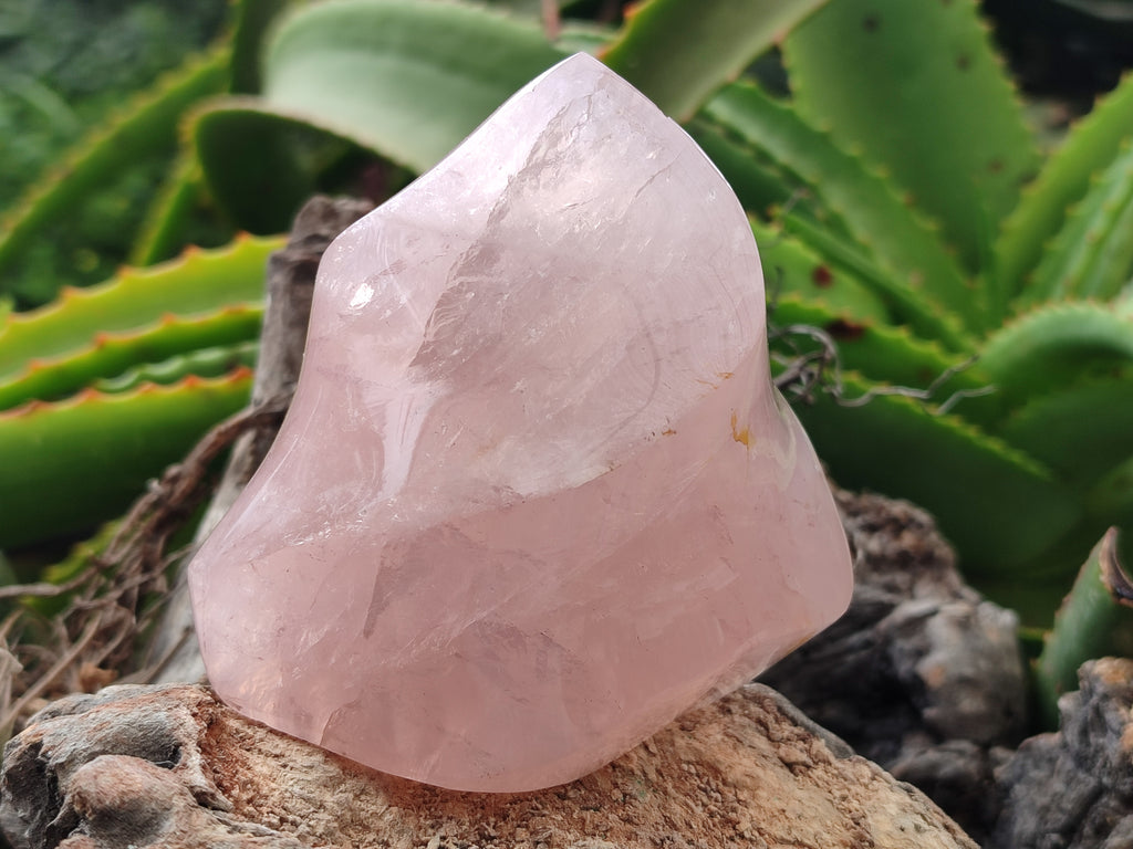 Polished Rose Quartz Flames x 3 From Ambatondrazaka, Madagascar - Toprock Gemstones and Minerals 