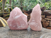 Polished Rose Quartz Flames x 3 From Ambatondrazaka, Madagascar - Toprock Gemstones and Minerals 