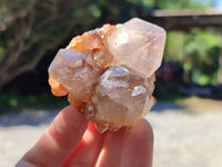 Natural Smoky Amethyst Spirit Quartz Crystals x 12 From Boekenhouthoek, South Africa