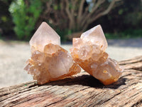 Natural Smoky Amethyst Spirit Quartz Crystals x 12 From Boekenhouthoek, South Africa