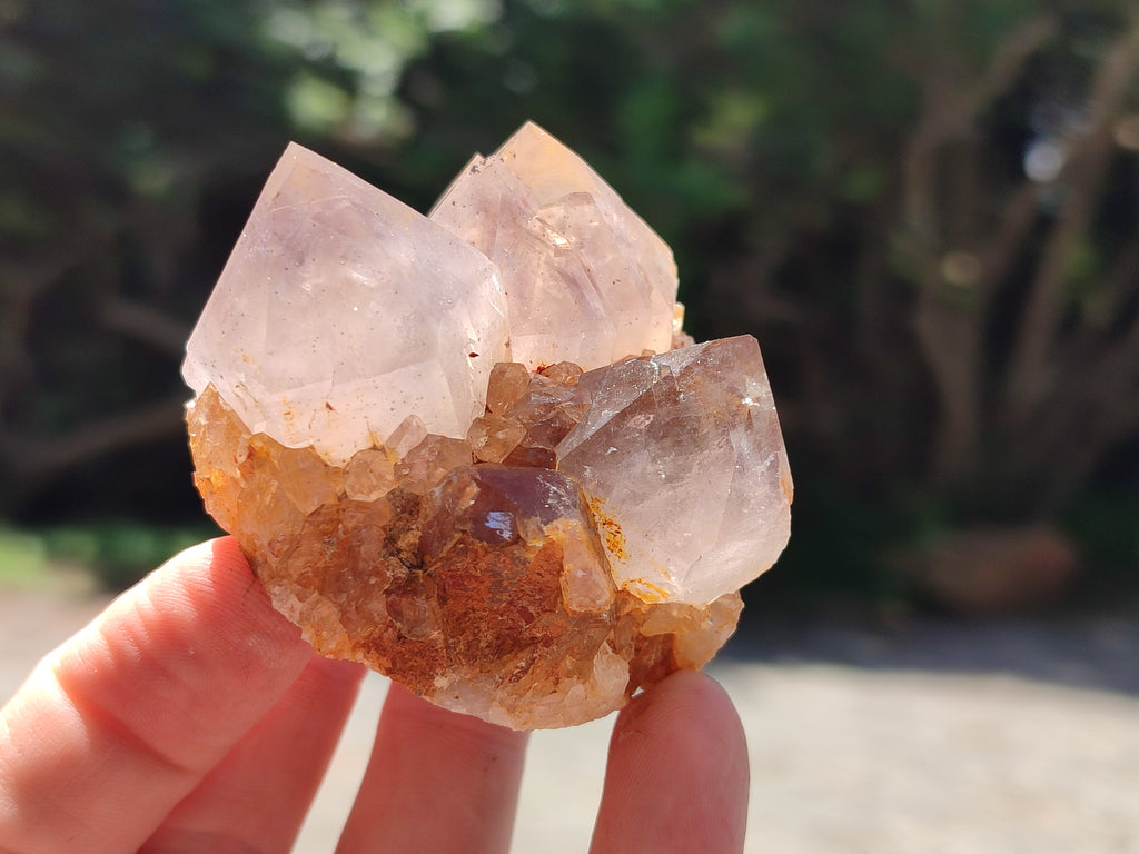 Natural Smoky Amethyst Spirit Quartz Crystals x 12 From Boekenhouthoek, South Africa - Toprock Gemstones and Minerals 