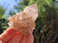 Natural Smoky Amethyst Spirit Quartz Crystals x 12 From Boekenhouthoek, South Africa