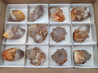 Natural Smoky Amethyst Spirit Quartz Crystals x 12 From Boekenhouthoek, South Africa