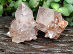 Natural Ametrine Spirit Quartz Crystals x 12 From Boekenhouthoek, South Africa - Toprock Gemstones and Minerals 