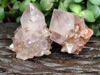 Natural Smoky Amethyst Spirit Quartz Crystals x 12 From Boekenhouthoek, South Africa