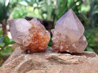 Natural Smoky Amethyst Spirit Quartz Crystals x 12 From Boekenhouthoek, South Africa