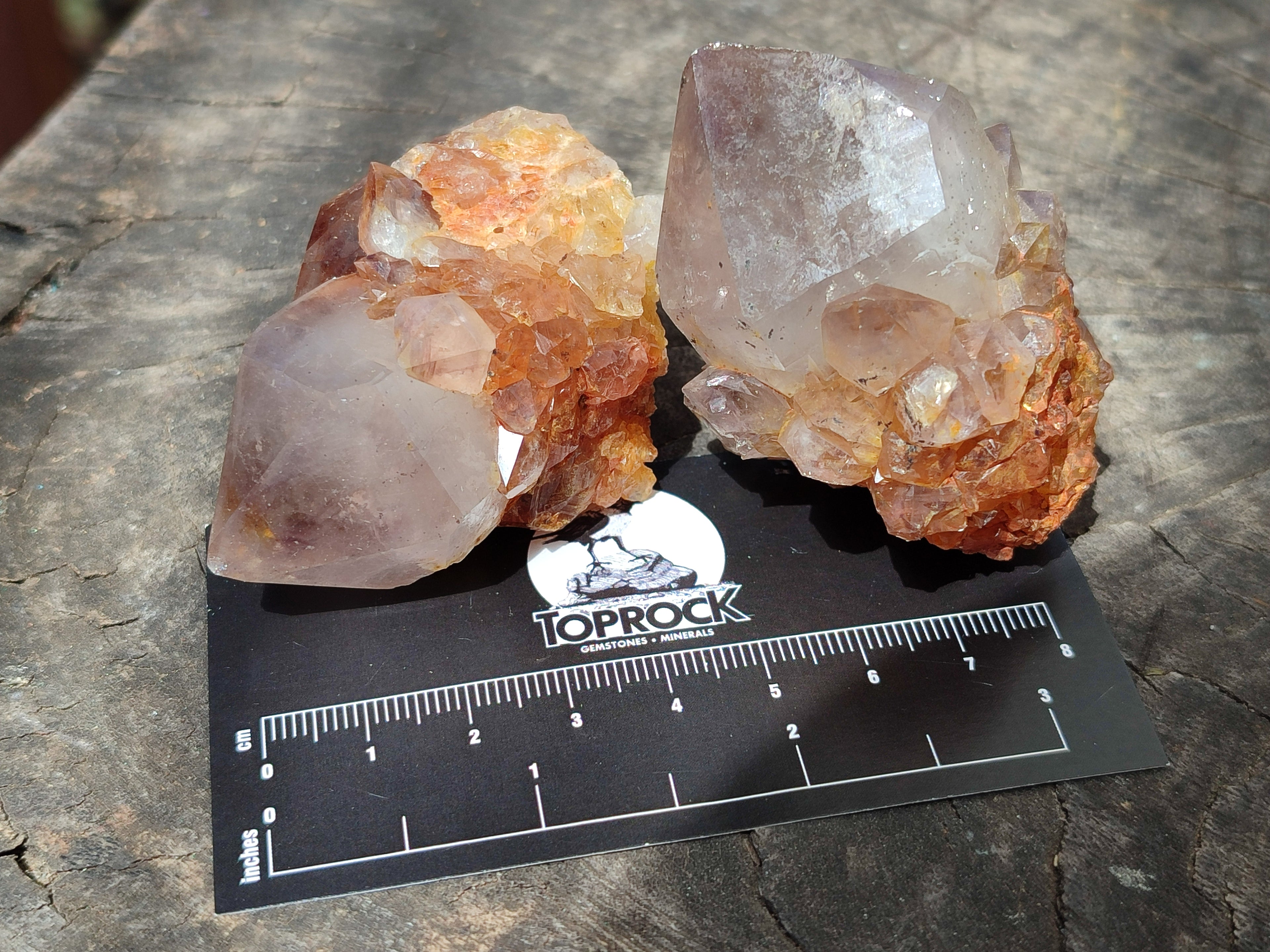 Natural Ametrine Spirit Quartz Crystals x 12 From Boekenhouthoek, South Africa - Toprock Gemstones and Minerals 