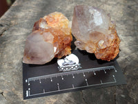 Natural Smoky Amethyst Spirit Quartz Crystals x 12 From Boekenhouthoek, South Africa