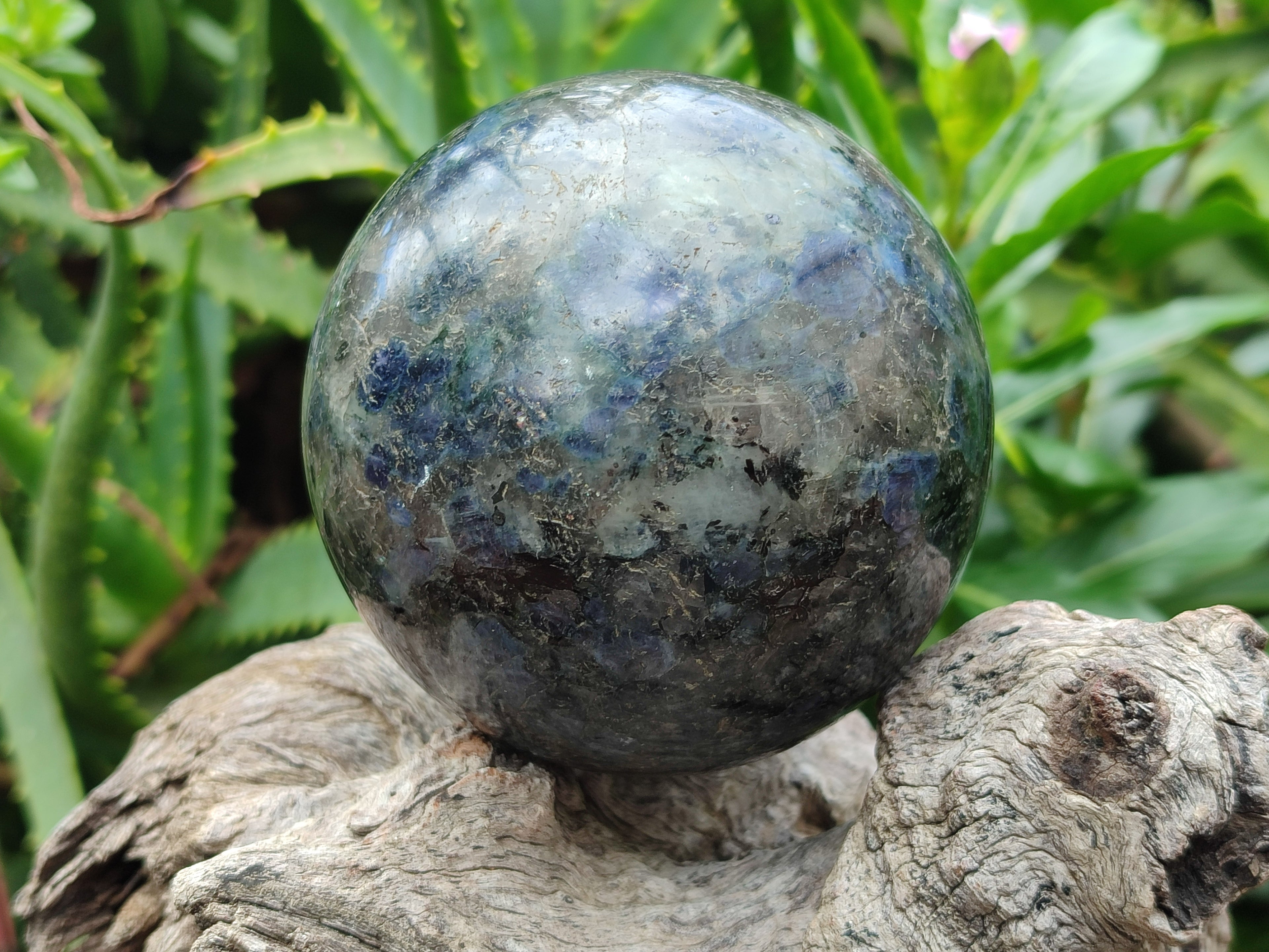 Polished Iolite Spheres x 2 From Ambatofinandrahana, Madagascar - Toprock Gemstones and Minerals 
