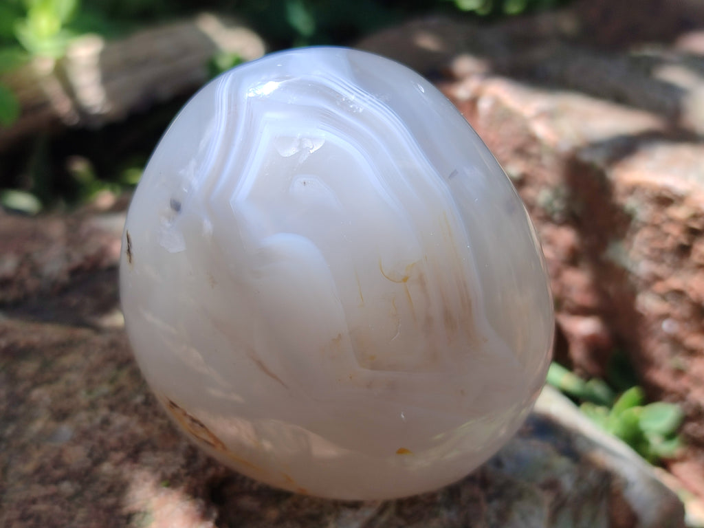Polished Dendritic Agate Standing Free Forms x 6 From Madagascar - Toprock Gemstones and Minerals 