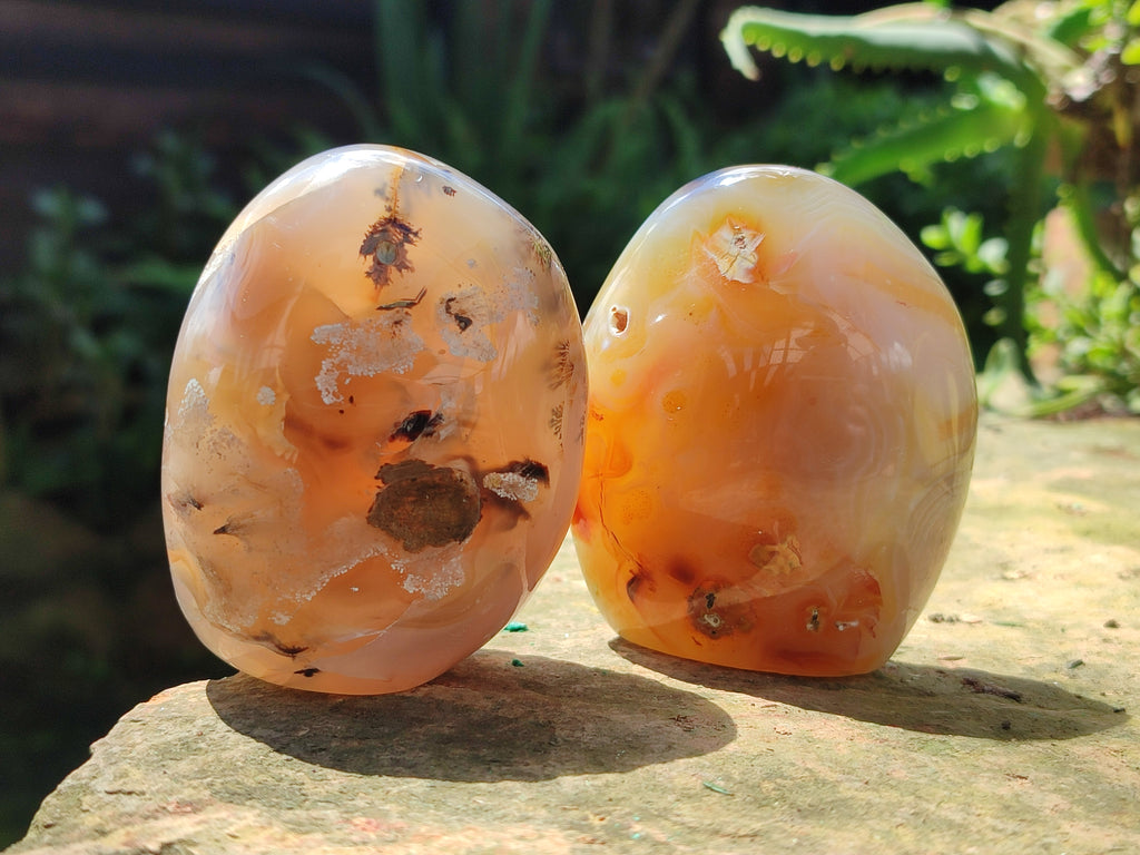 Polished Dendritic Agate Standing Free Forms x 6 From Madagascar - Toprock Gemstones and Minerals 