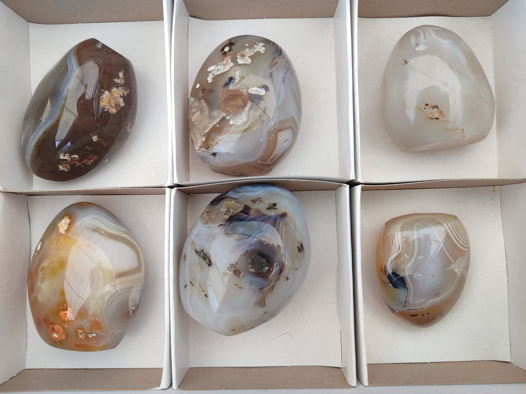 Polished Dendritic Agate Standing Free Forms x 6 From Madagascar - Toprock Gemstones and Minerals 