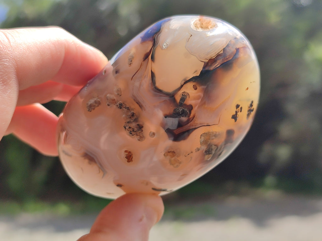 Polished Dendritic Agate Standing Free Forms x 6 From Madagascar - Toprock Gemstones and Minerals 