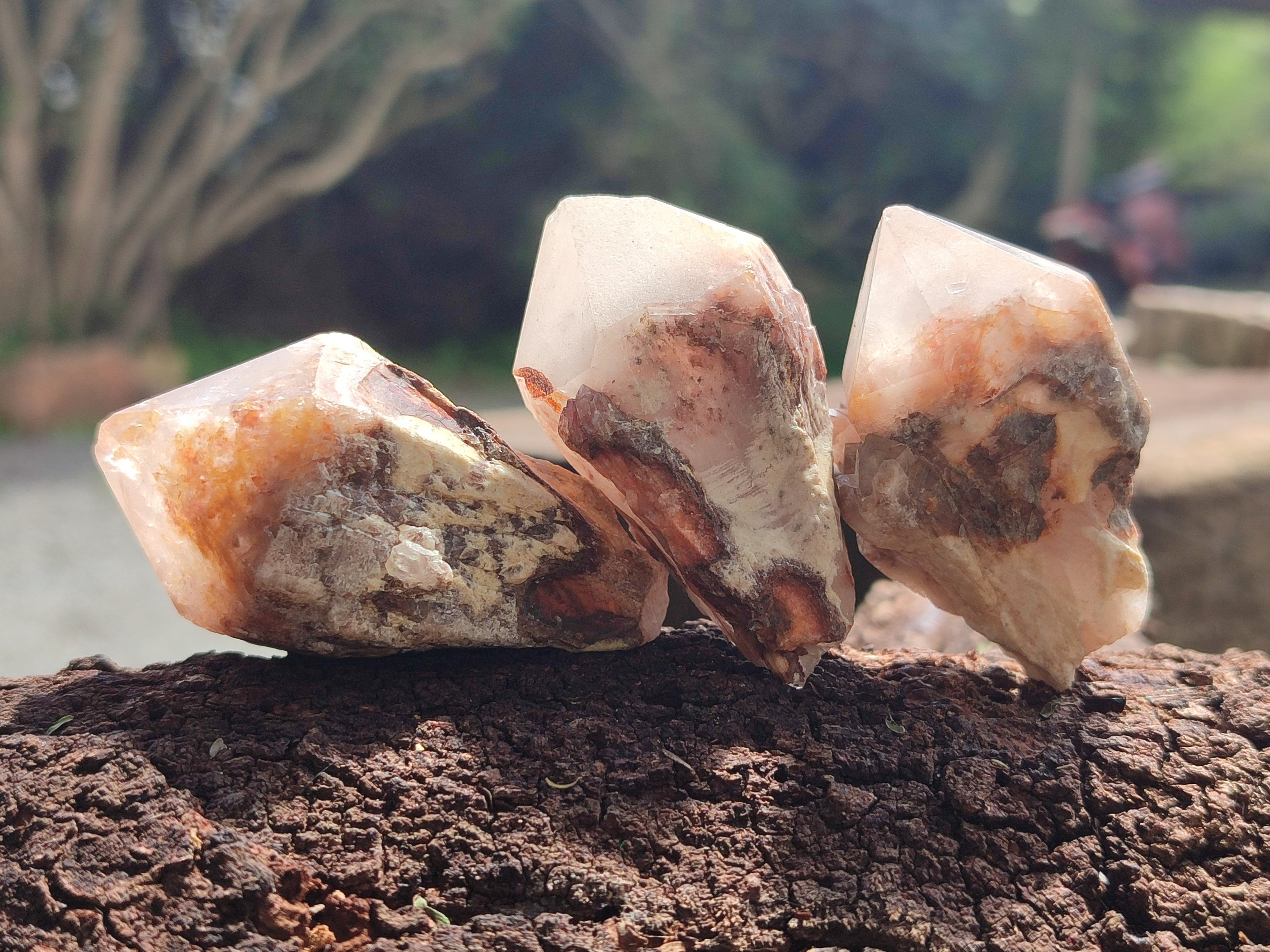 Natural Pineapple Candle Quartz Crystals x 35 From Antsirabe, Madagascar - Toprock Gemstones and Minerals 