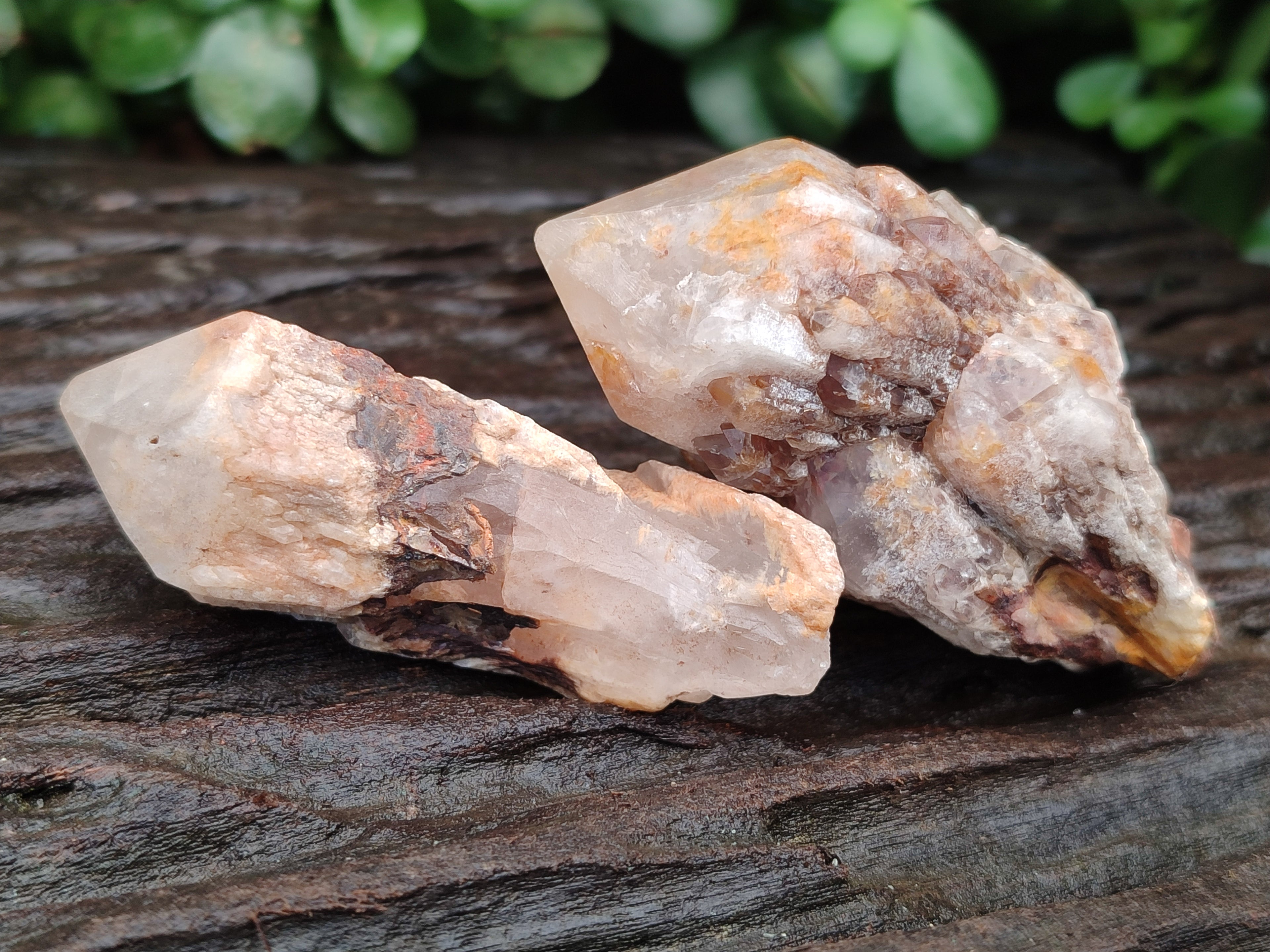 Natural Pineapple Candle Quartz Crystals x 35 From Antsirabe, Madagascar - Toprock Gemstones and Minerals 