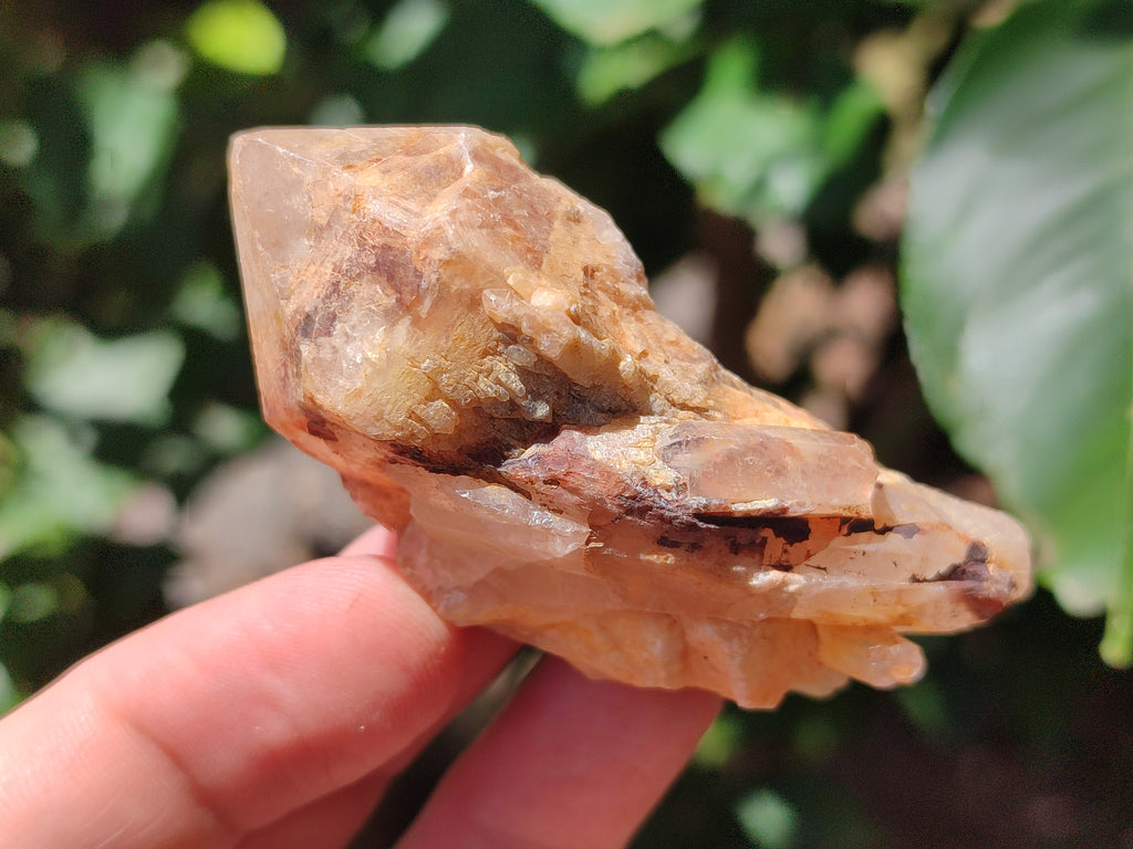 Natural Pineapple Candle Quartz Crystals x 35 From Antsirabe, Madagascar - Toprock Gemstones and Minerals 