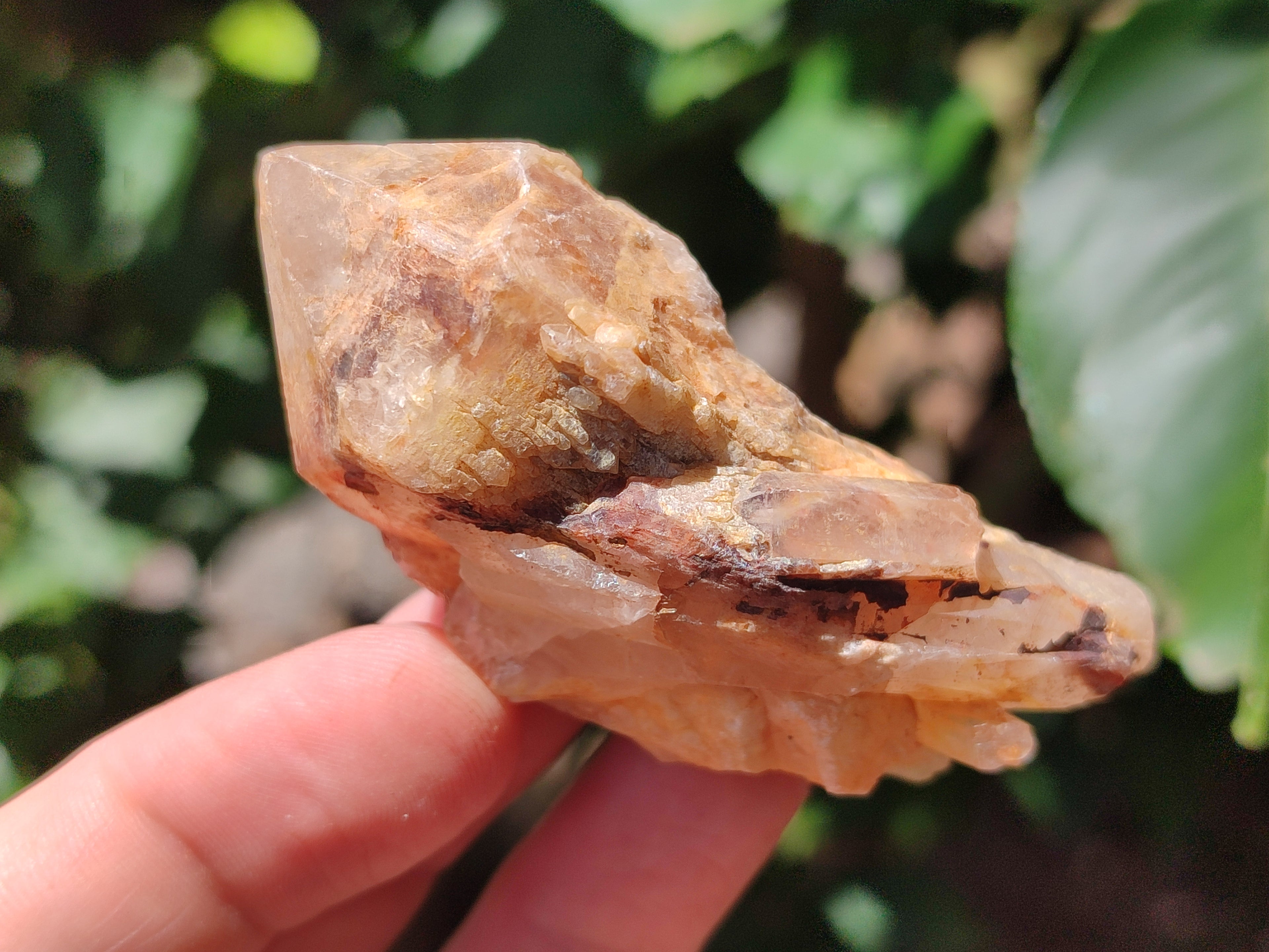 Natural Pineapple Candle Quartz Crystals x 35 From Antsirabe, Madagascar - Toprock Gemstones and Minerals 