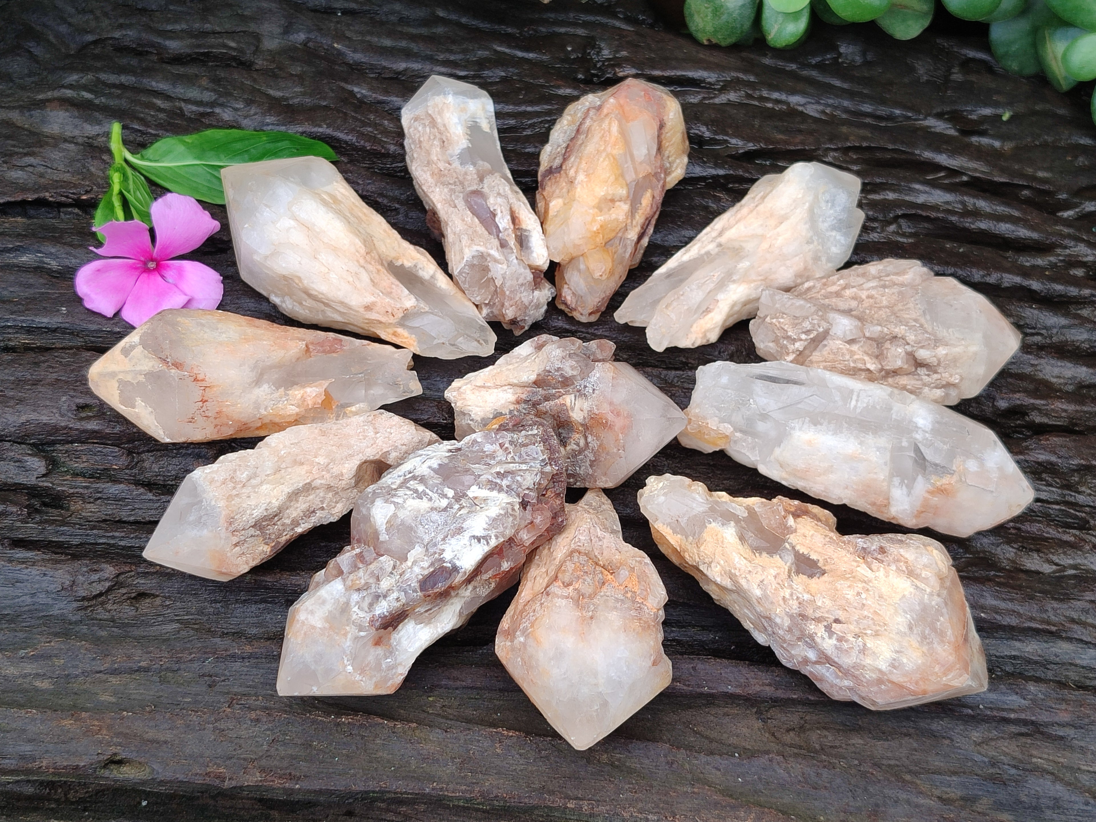 Natural Pineapple Candle Quartz Crystals x 35 From Antsirabe, Madagascar - Toprock Gemstones and Minerals 