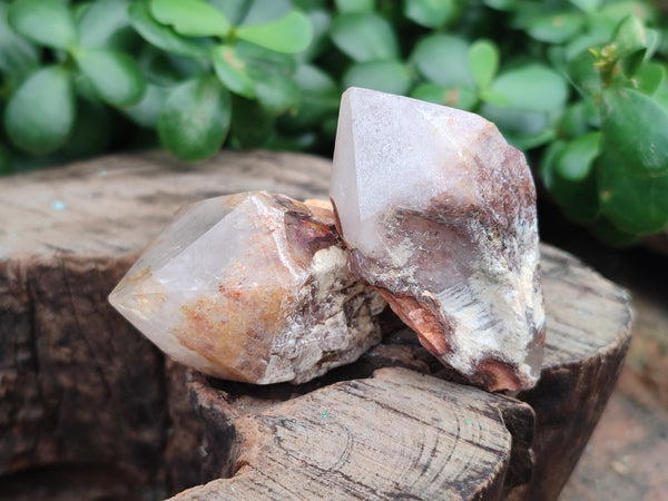 Natural Pineapple Candle Quartz Crystals x 35 From Antsirabe, Madagascar - Toprock Gemstones and Minerals 