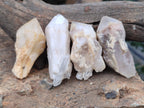 Natural Pineapple Candle Quartz Crystals x 35 From Antsirabe, Madagascar - Toprock Gemstones and Minerals 