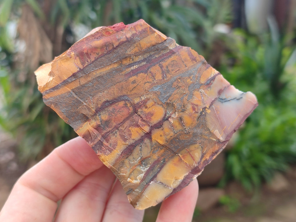 Natural Nguni Jasper Cobbed Specimens x 13 From Prieska, South Africa - Toprock Gemstones and Minerals 