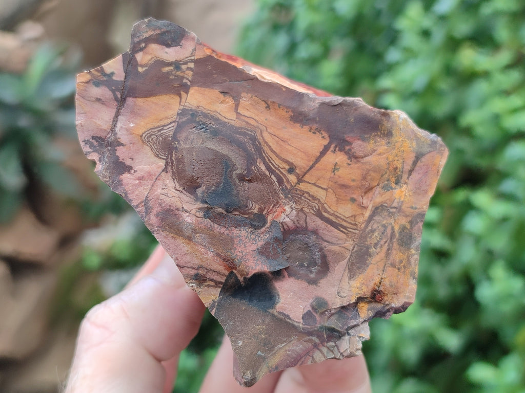 Natural Nguni Jasper Cobbed Specimens x 13 From Prieska, South Africa - Toprock Gemstones and Minerals 