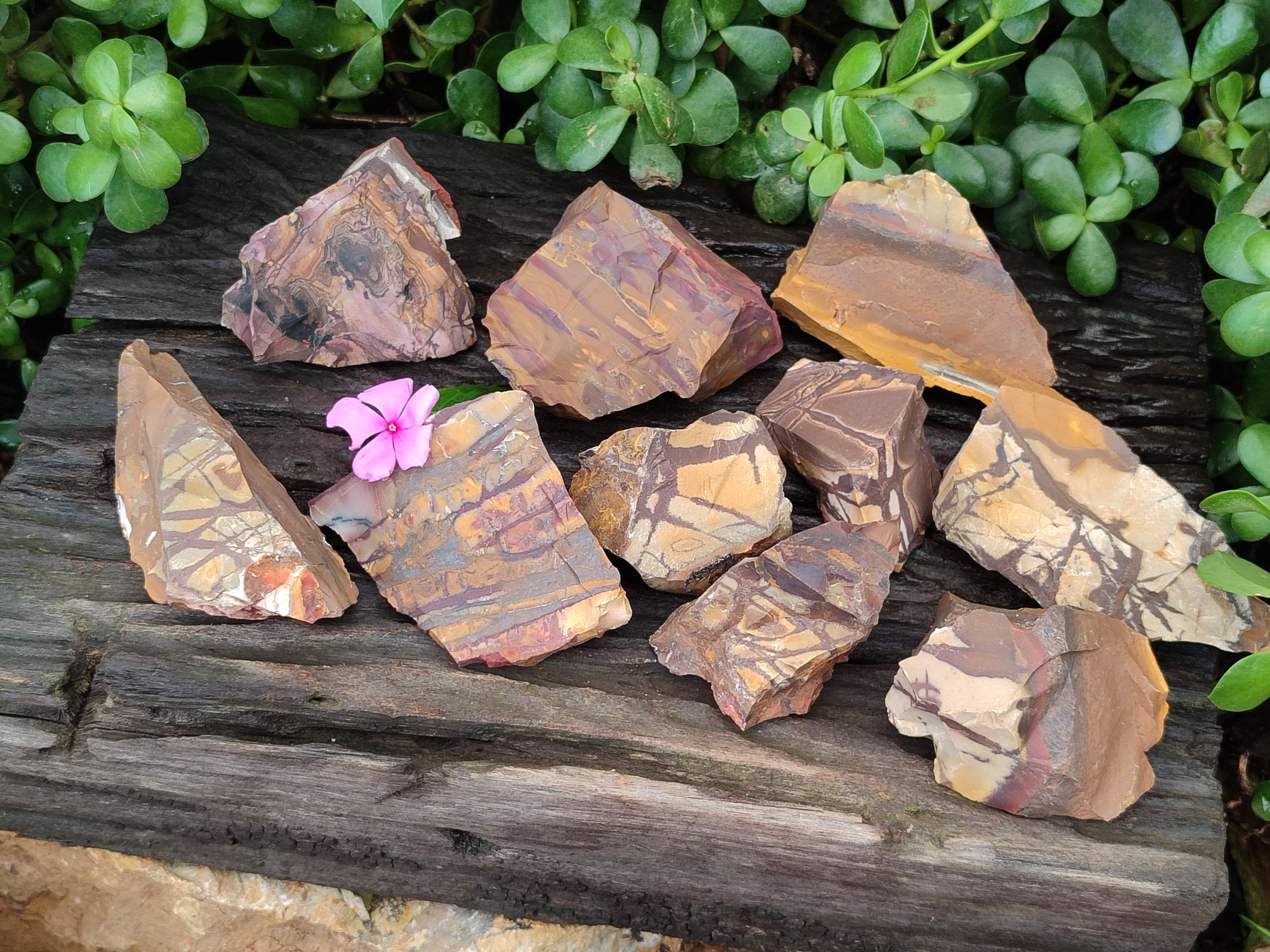 Natural Nguni Jasper Cobbed Specimens x 13 From Prieska, South Africa - Toprock Gemstones and Minerals 