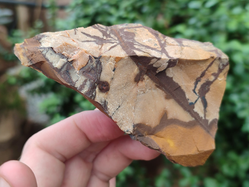 Natural Nguni Jasper Cobbed Specimens x 13 From Prieska, South Africa - Toprock Gemstones and Minerals 