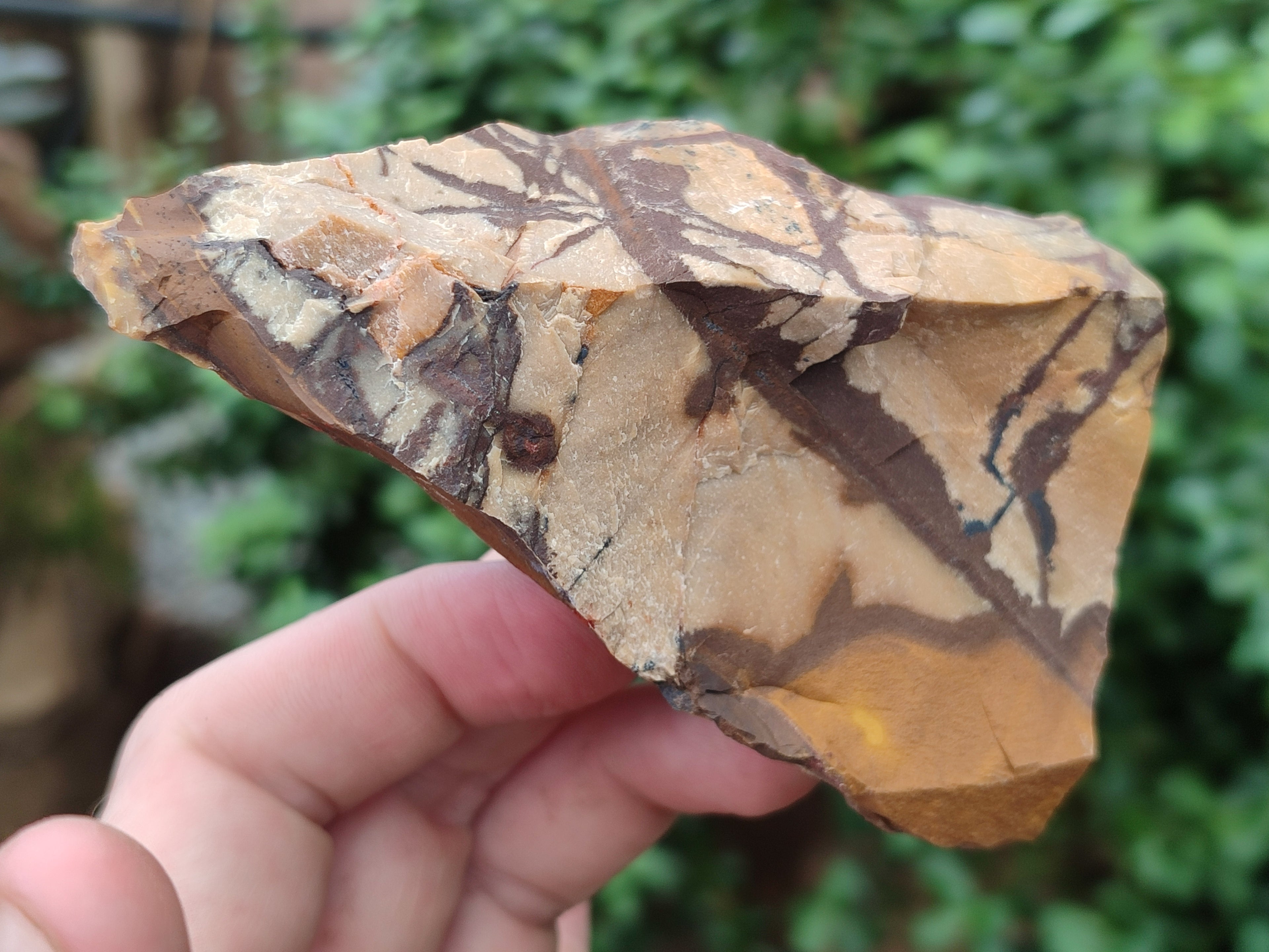 Natural Nguni Jasper Cobbed Specimens x 13 From Prieska, South Africa - Toprock Gemstones and Minerals 