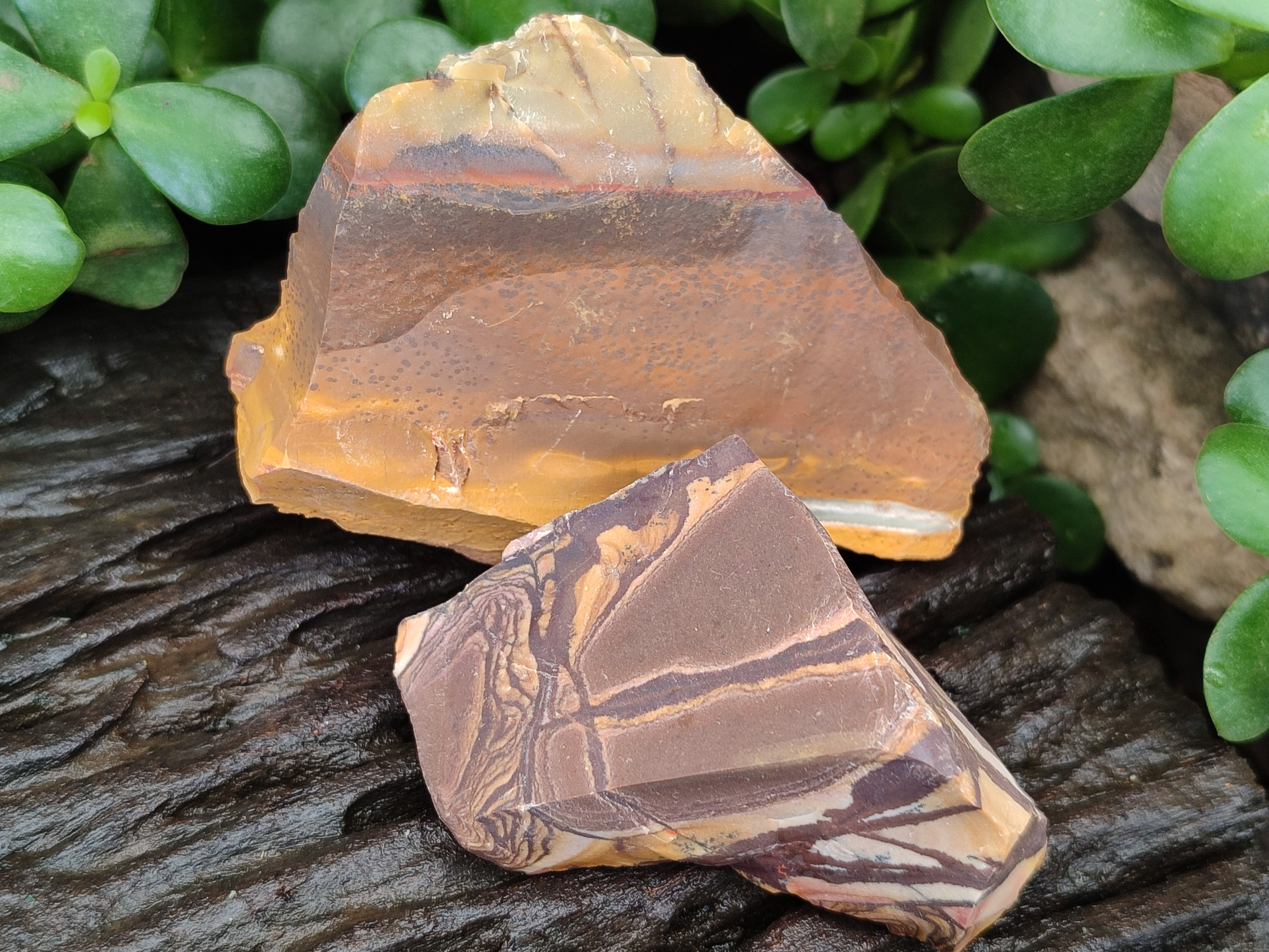 Natural Nguni Jasper Cobbed Specimens x 13 From Prieska, South Africa - Toprock Gemstones and Minerals 