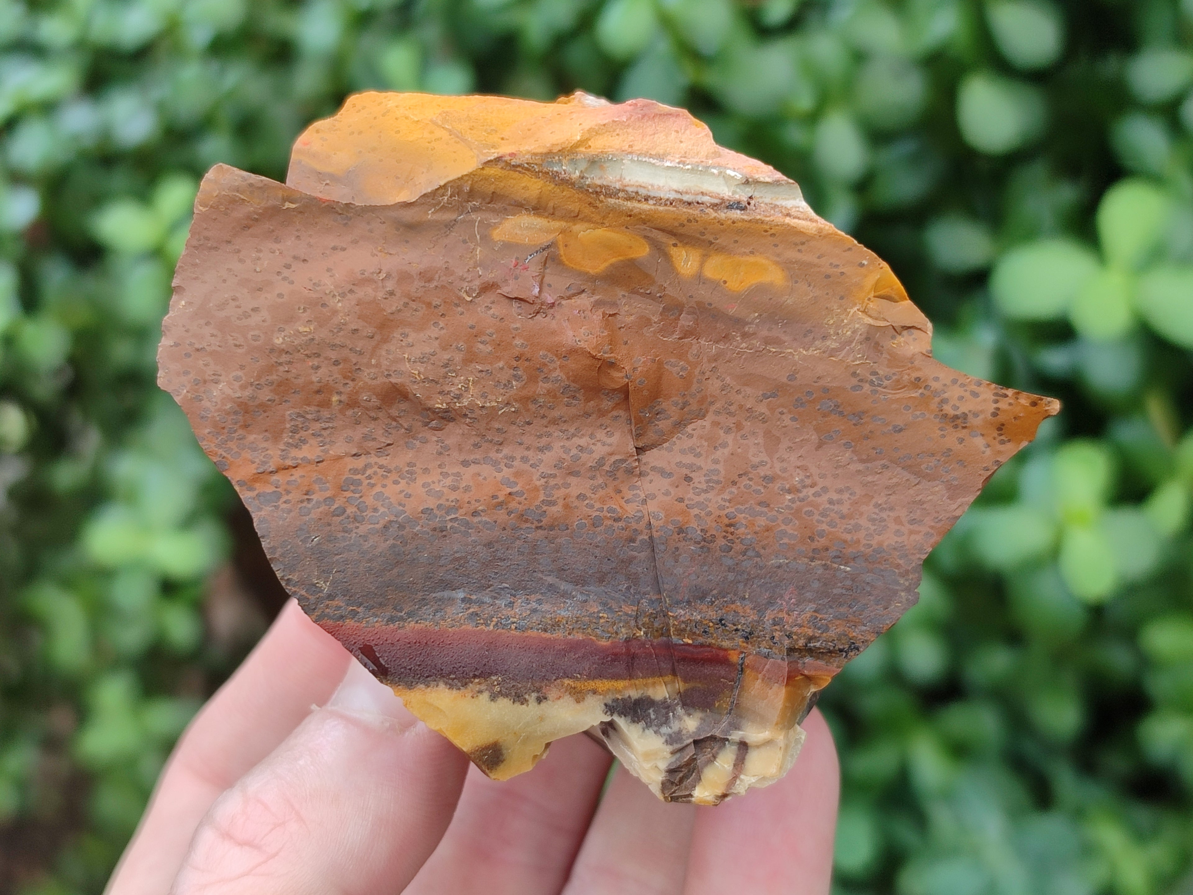 Natural Nguni Jasper Cobbed Specimens x 13 From Prieska, South Africa - Toprock Gemstones and Minerals 