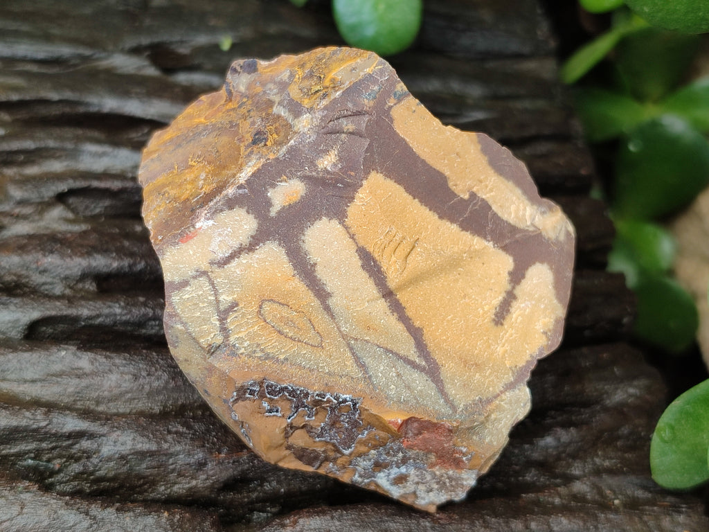 Natural Nguni Jasper Cobbed Specimens x 13 From Prieska, South Africa - Toprock Gemstones and Minerals 