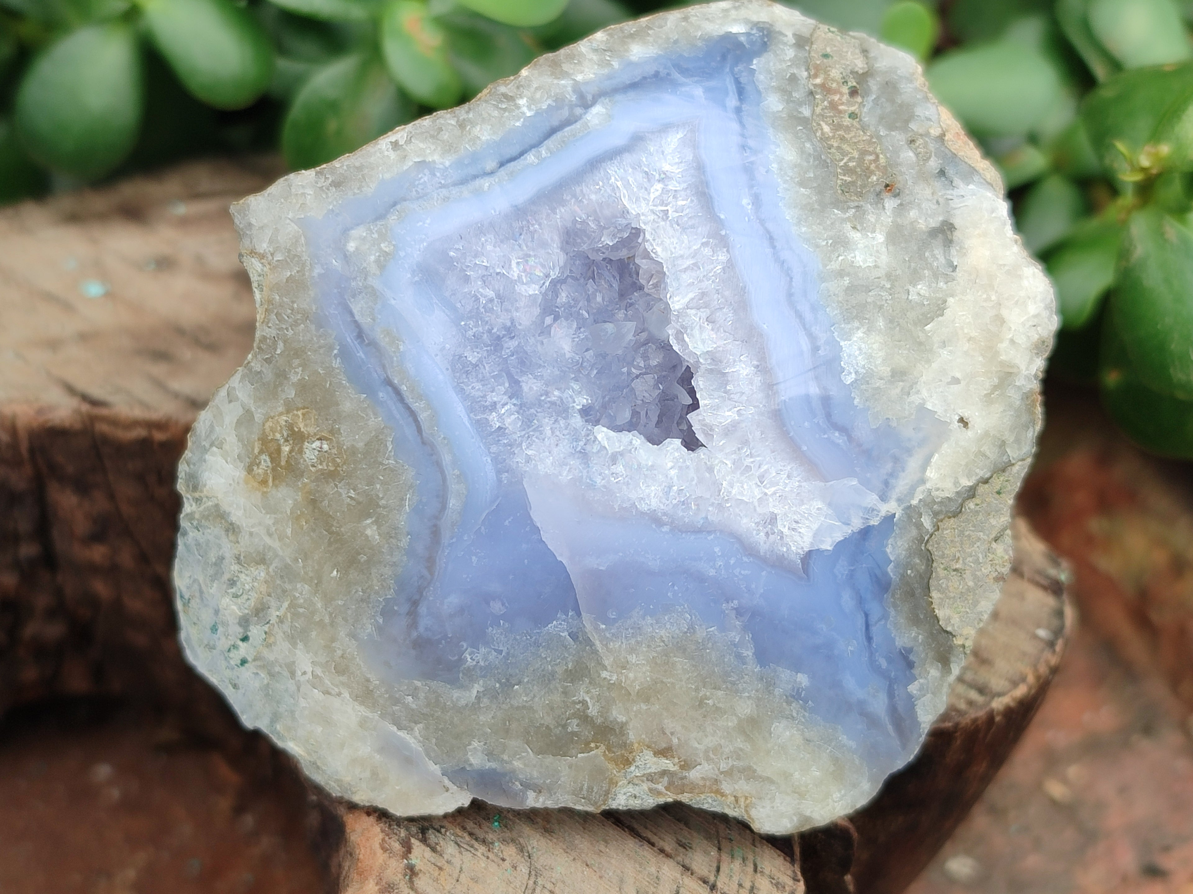 Polished On One Side Blue Lace Agate x 12 From Malawi - Toprock Gemstones and Minerals 