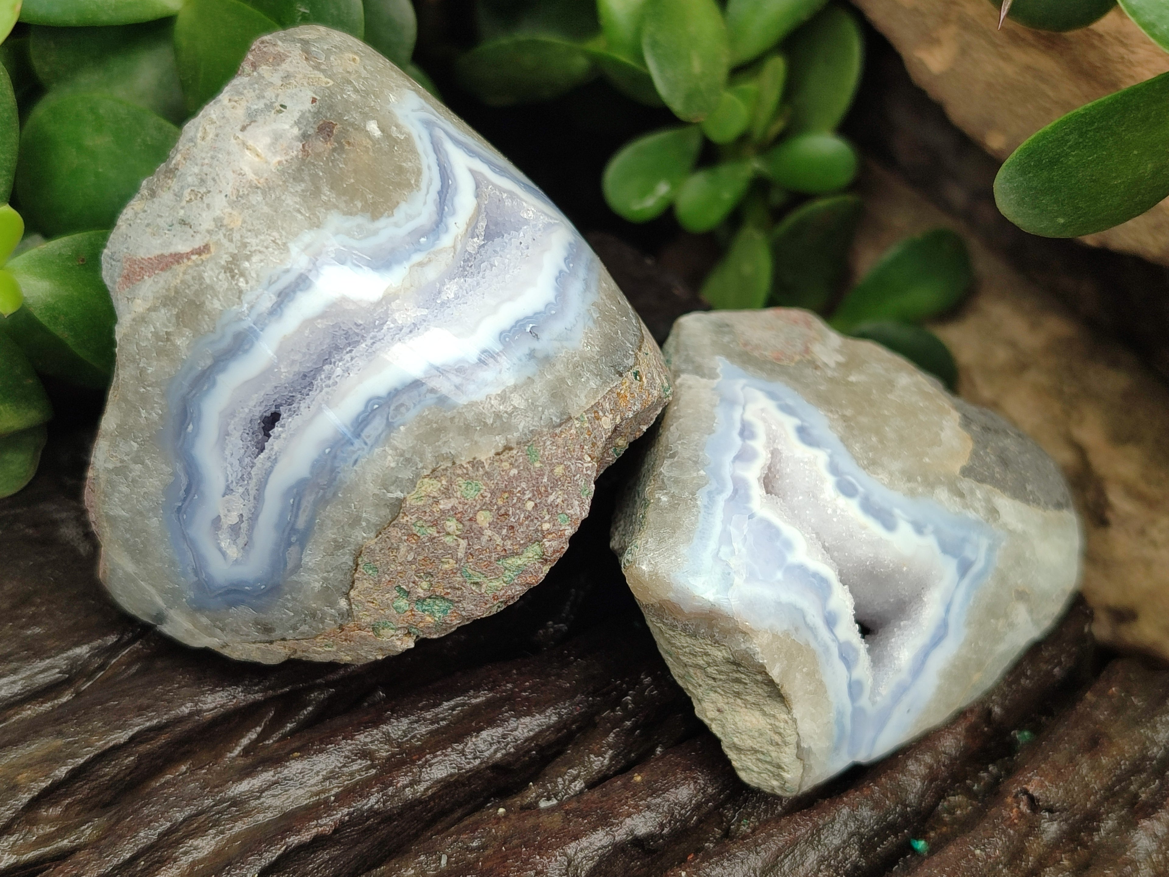 Polished On One Side Blue Lace Agate x 12 From Malawi - Toprock Gemstones and Minerals 